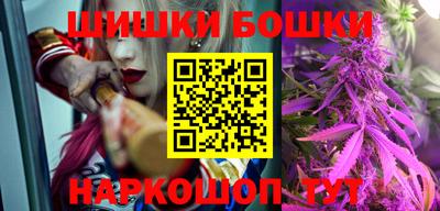стаф Дубна