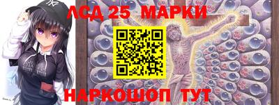стаф Дубна