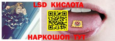 стаф Дубна
