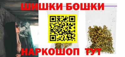 стаф Дубна