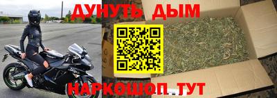 стаф Дубна
