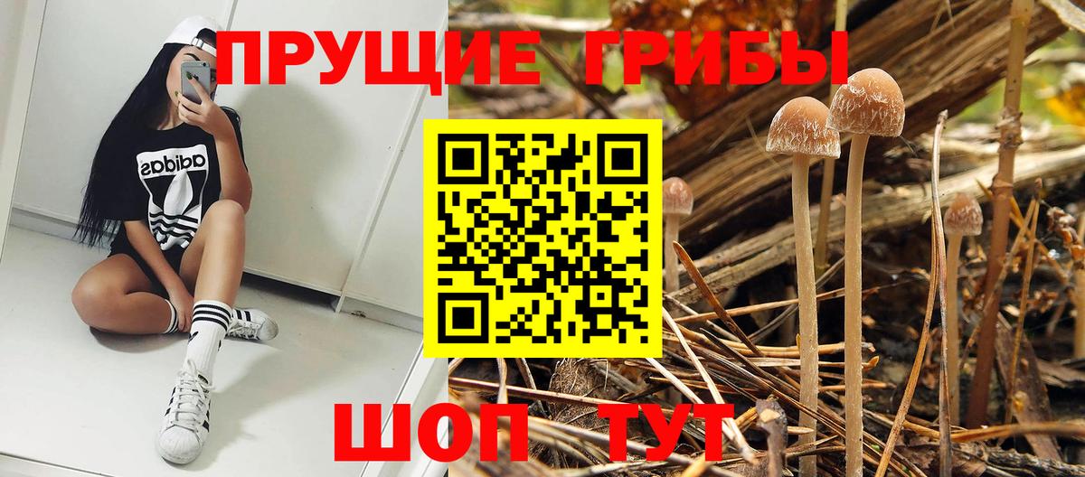 Псилоцибиновые грибы мухоморы Нижнекамск